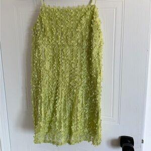 Anthropologie Light Green Floral Dress